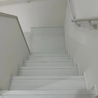 画像244